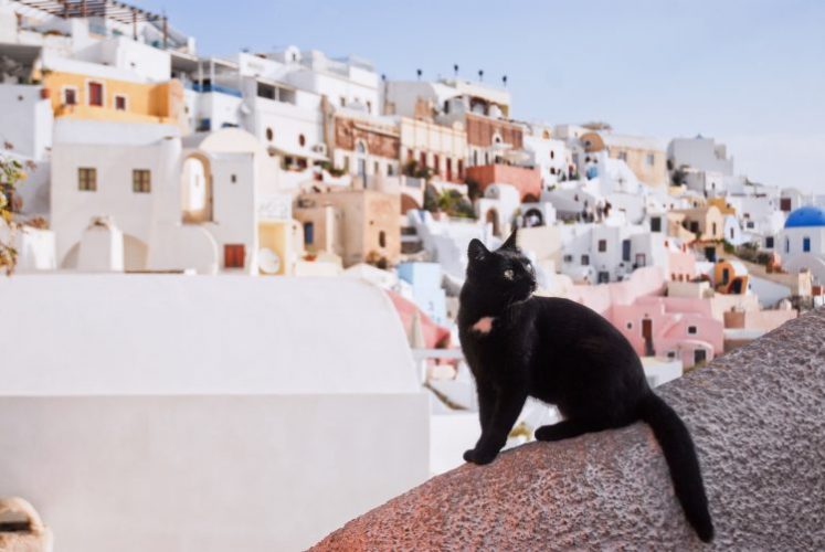 ひと気の少ないサントリーニ島で一人で満喫大好きな街並み景色に黒猫