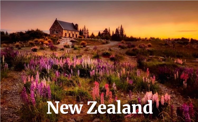 ニュージーランドの海外現地ツアー