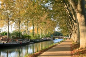 canaldumidi, toulouse, trees, autumn, hautegaronne, landscape, travel, natural, french, unesco, toulouse, toulouse, toulouse, nature, toulouse, toulouse