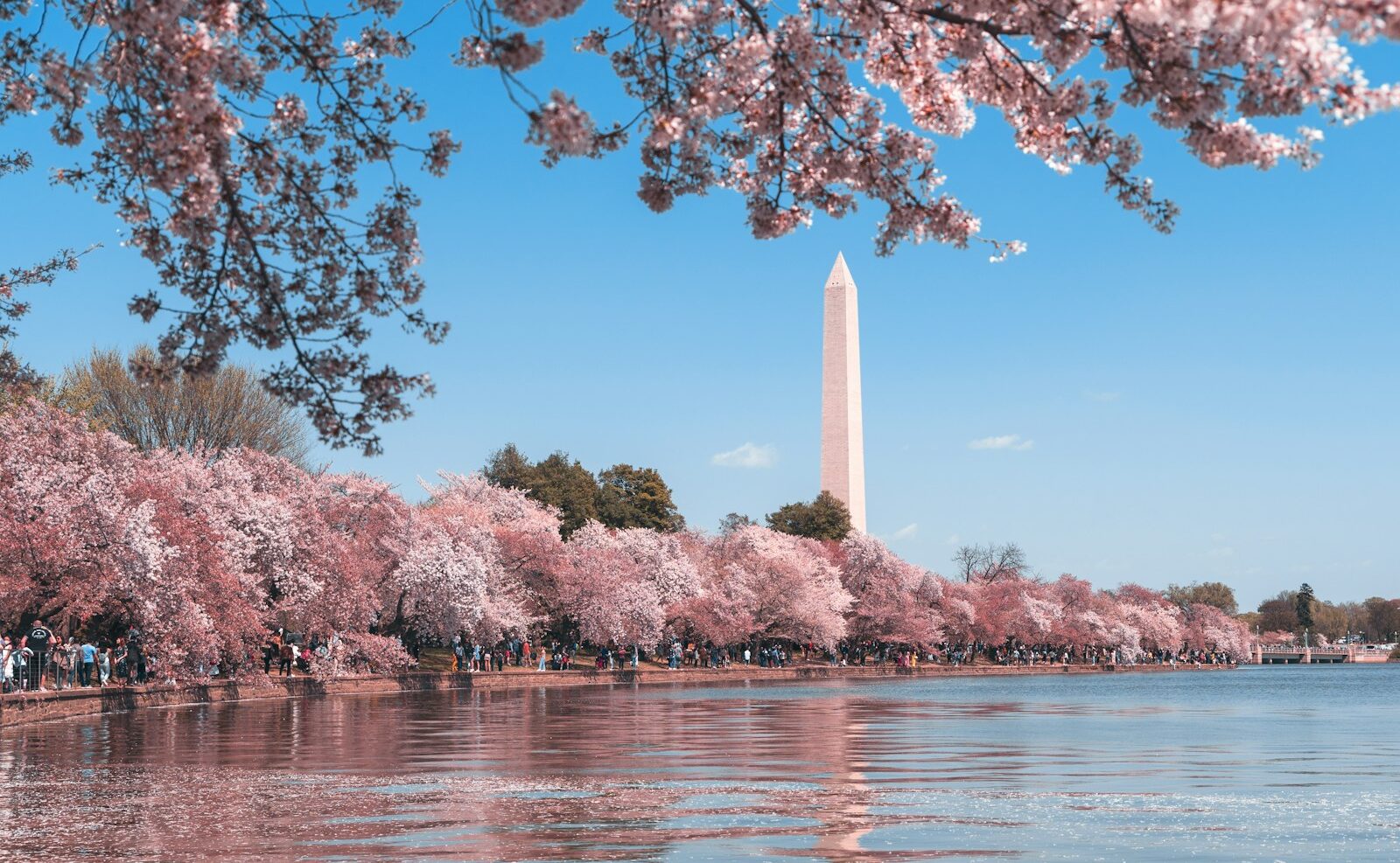 ワシントンDC旅行・観光　アメリカ観光地めぐり