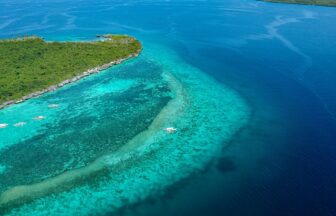 お盆旅行　夏休み　家族旅行　名古屋発着　セブ島