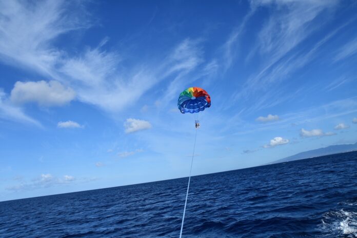 紺碧のハワイの海と空を独り占め
