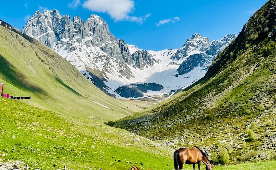 Stunning view of horses grazing in Juta, Georgia with majestic mountains under a clear blue sky.