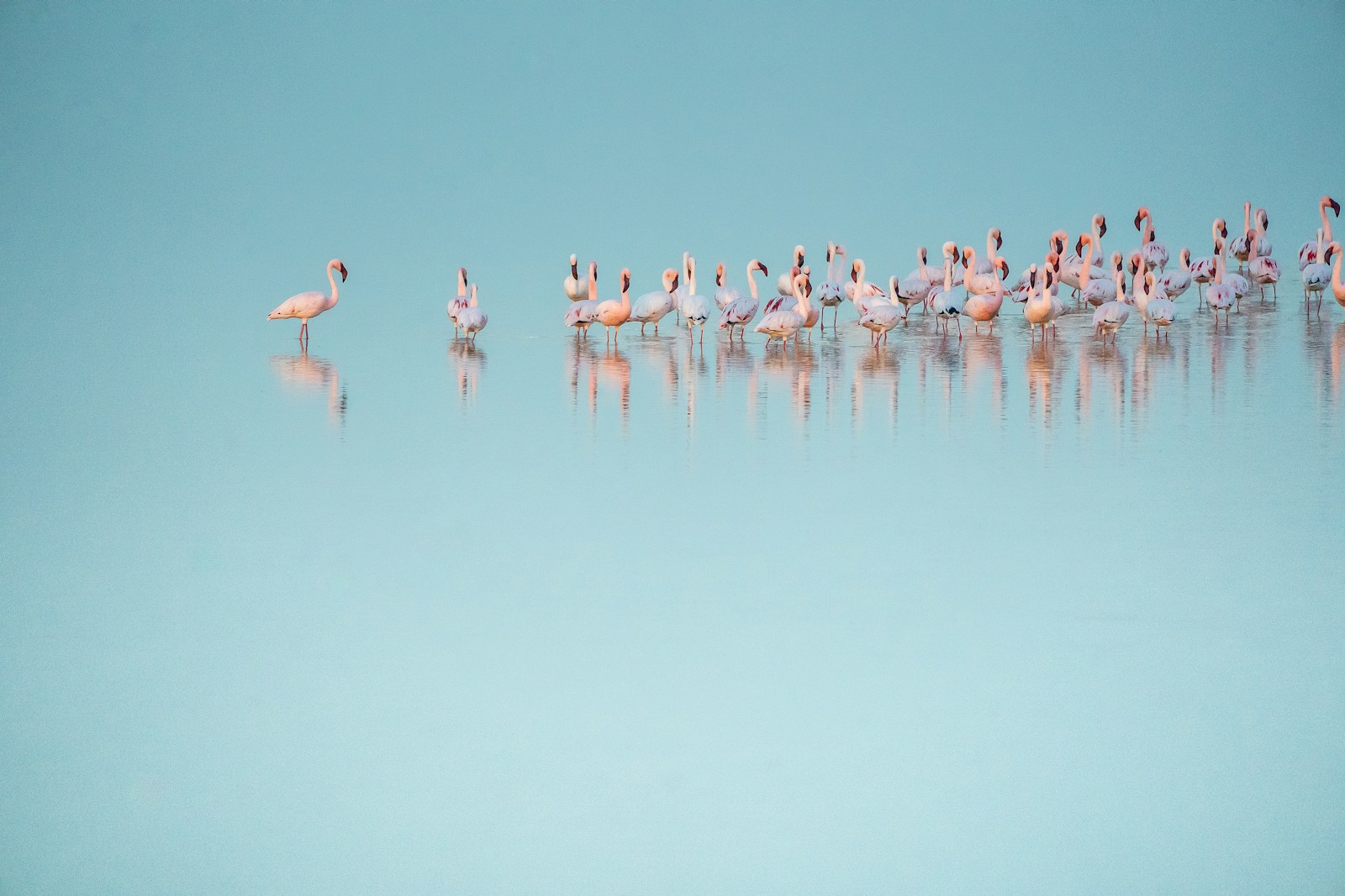 people in beach during daytime