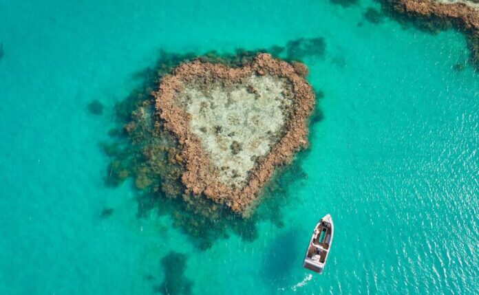 ハートリーフを貸切で泳げるプライベートツアーが人気。