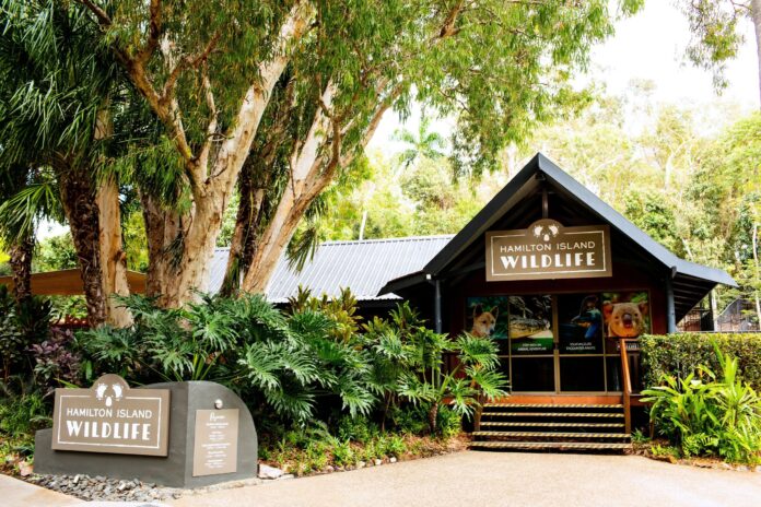 コアラが抱っこ出来るハミルトン島のワイルドライフパーク。