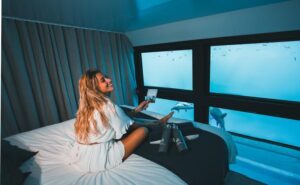 水族館のようなお部屋でハーディーリーフの自然に触れる。